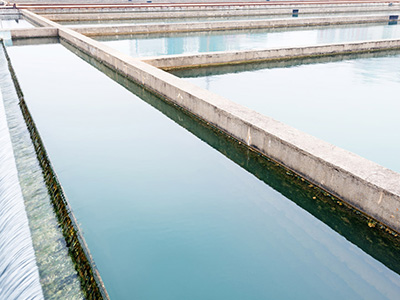 黑臭水體治理有哪些技術措施